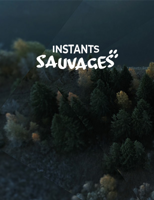 Instants sauvages